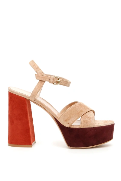 Shop Gianvito Rossi Multicolor Suede Platform Sandals In Beige,orange,brown