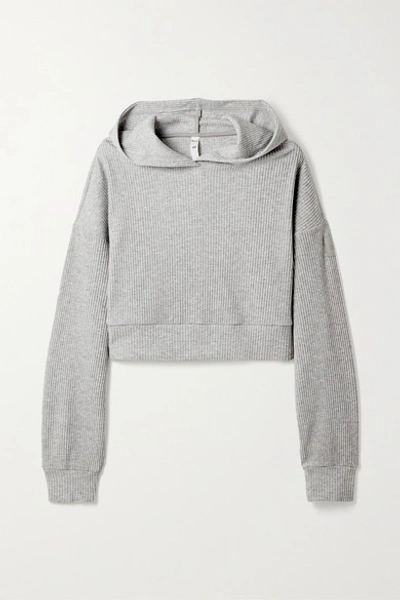 Shop Alo Yoga Muse Cropped Ribbed Fleece Hoodie In Gray