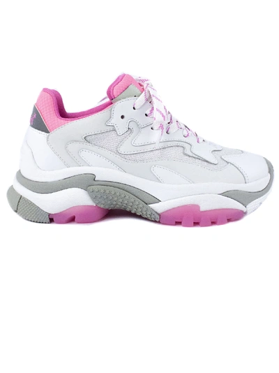 Shop Ash White And Pink Addict Sneakers In Bianco+rosa