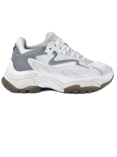 Shop Ash White And Grey Addict Sneakers In Silver