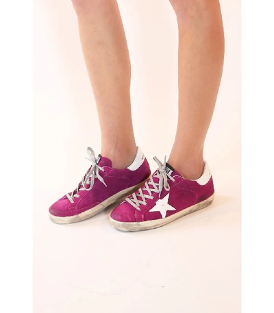 Shop Golden Goose Superstar Sneakers In Violet Suede/white Star In Pink
