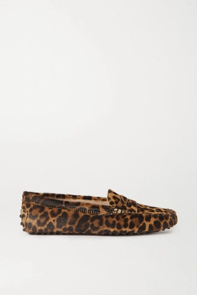 Shop Tod's Gommino Leopard-print Calf Hair Loafers In Leopard Print