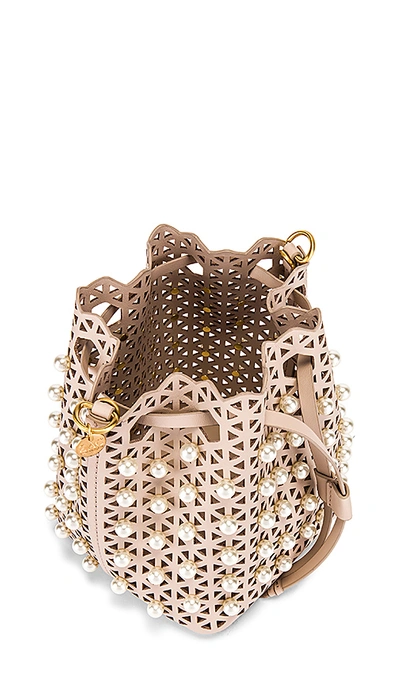 ZAC Zac Posen, Bags, Zac Zac Posen Lacey Drawstring Crossbody Pearl Bag