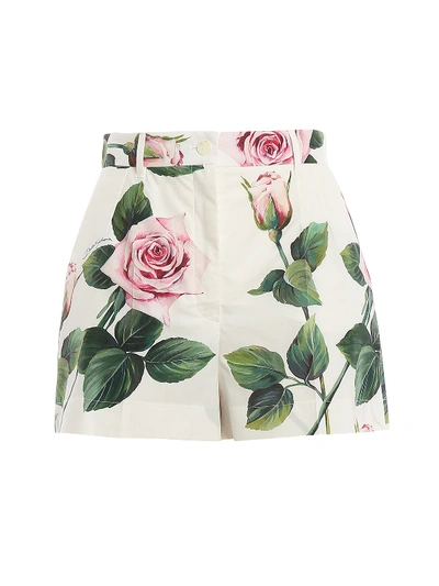 Shop Dolce & Gabbana Tropical Rose Printed Shorts In White