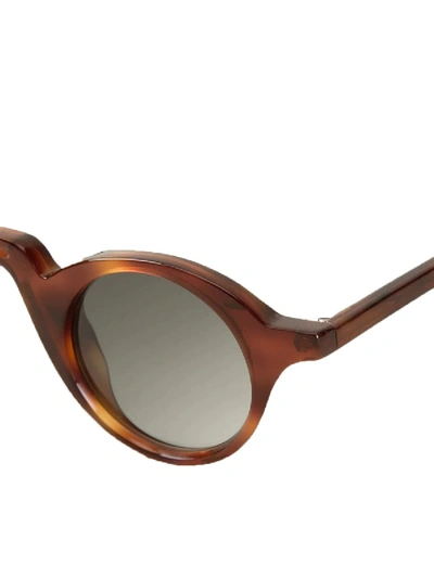 Shop Barn's Retro Pantos Sunglasses