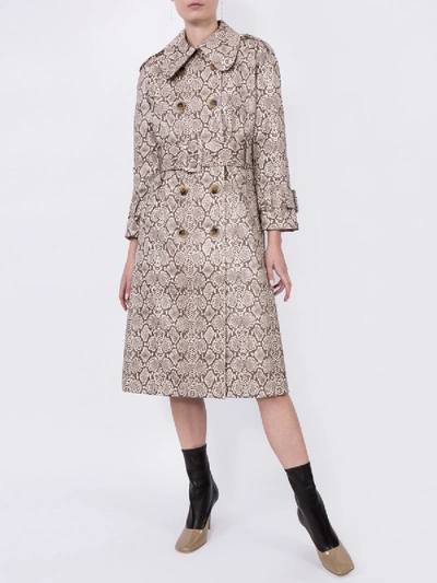 Shop Alexa Chung Faux Snakeskin Trench Coat In Neutral