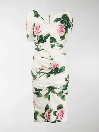 Shop Dolce & Gabbana Rose Print Ruched Dress In White