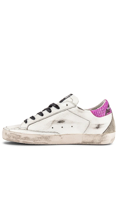 Shop Golden Goose Superstar Sneaker In White, Fuchsia Python & Glitter Star