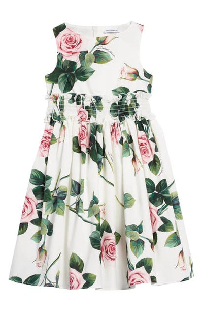 Shop Dolce & Gabbana Floral Cotton Dress In Rose Rosa Fdo.panna