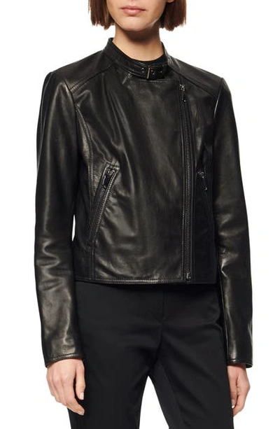 Shop Marc New York Wheeland Lambskin Moto Jacket In Black
