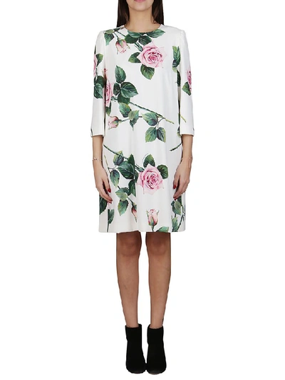 Shop Dolce & Gabbana Floral Shift Dress In Multi