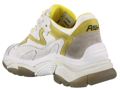 Shop Ash Addict Extreme Sneakers In Multi