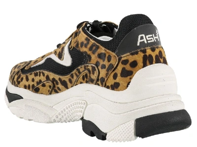 Shop Ash Addict Extreme Sneakers In Multi