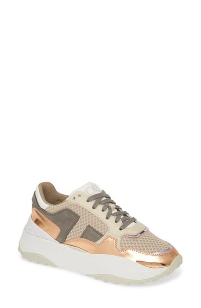 Shop Tod's Lace-up Sneaker In Beige/ White
