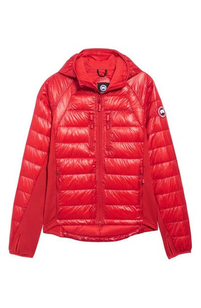 Shop Canada Goose 'hybridge(tm) Lite Hoody' Slim Fit Packable Jacket In Red