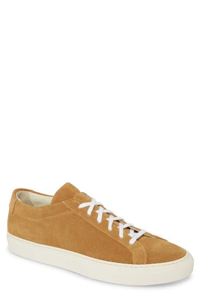 Shop Common Projects Original Achilles Low Top Sneaker In Tan