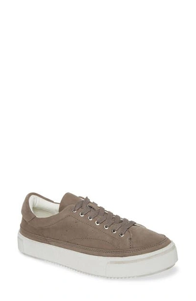 Shop Allsaints Trish Platform Sneaker In Taupe Suede