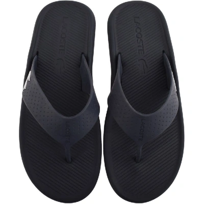 Shop Lacoste Croco Flip Flops Navy