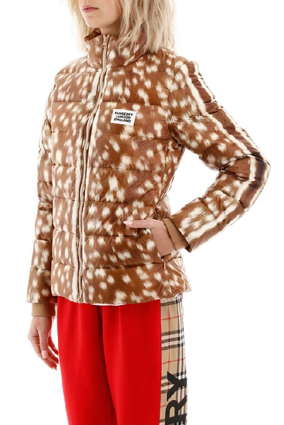 Shop Burberry Deer Print Padded Jacket In Brown