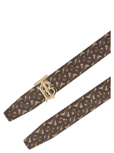 Shop Burberry Tb Monogram Belt In Multi