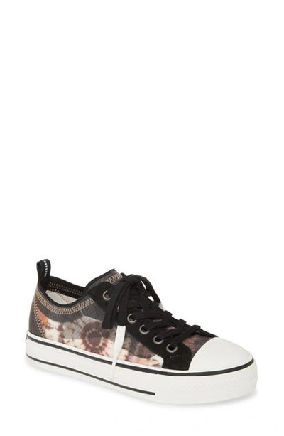 Shop Ash Vertu Sneaker In Black/ Multi