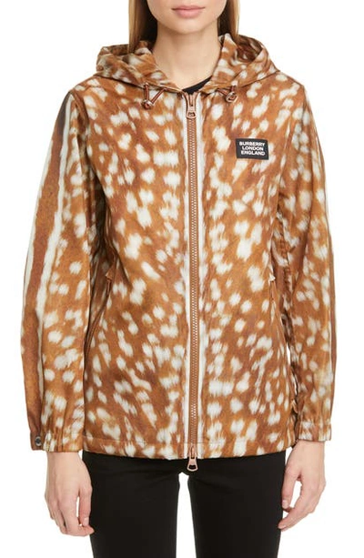 Shop Burberry Everton Deer Print Hooded Nylon Jacket In Honey