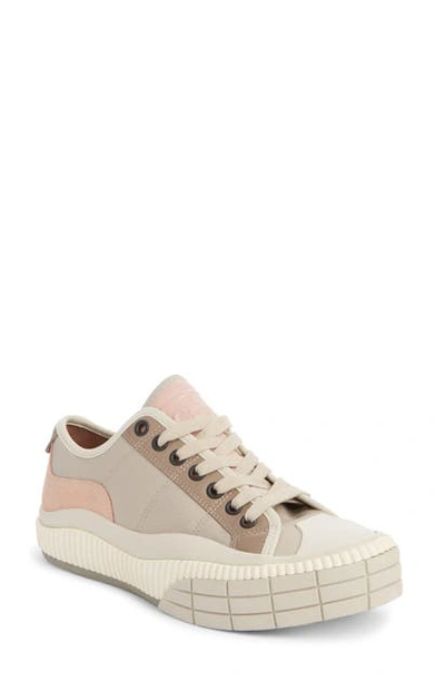 Shop Chloé Clint Low Top Sneaker In Pink Tea