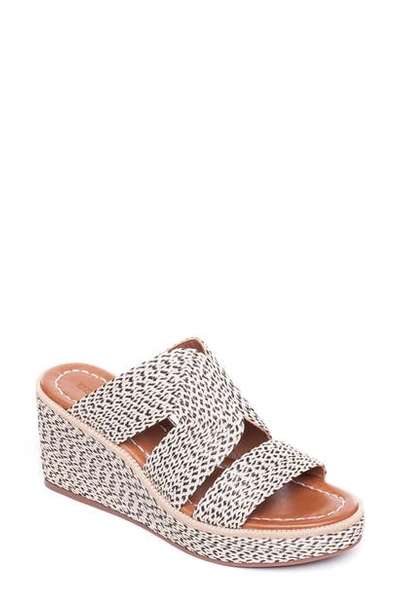 Shop Bernardo Bernado Kaia Wedge Slide Sandal In Natural/ Black Raffia Fabric