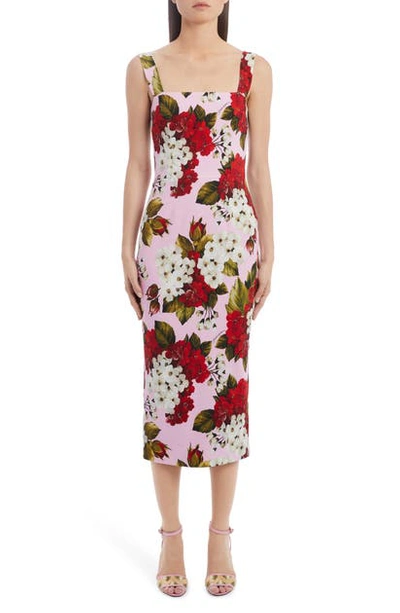Shop Dolce & Gabbana Floral Print Square Neck Cady Pencil Dress In Hf1bm Pink Red Floral