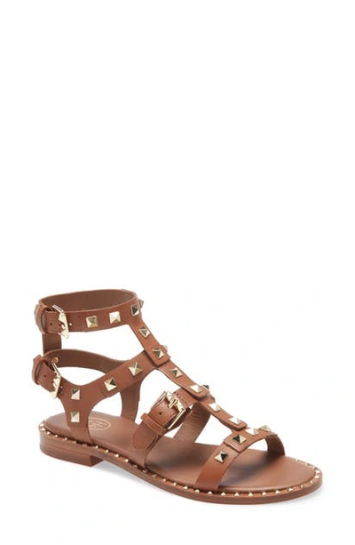 Shop Ash Pacific Studded Strappy Sandal In Soft Brasil Cuocio