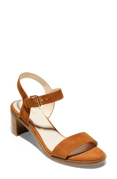Shop Cole Haan Grand Ambition Anette Sandal In British Tan Suede