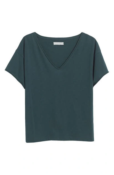 Shop Madewell Supima Cotton Drapey V-neck Crop T-shirt In Midnight Green
