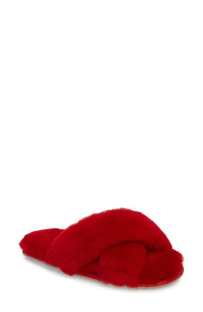 Shop Patricia Green Mt. Hood Genuine Shearling Slipper In Red