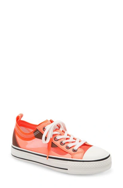 Shop Ash Vertu Sneaker In Deep Coral