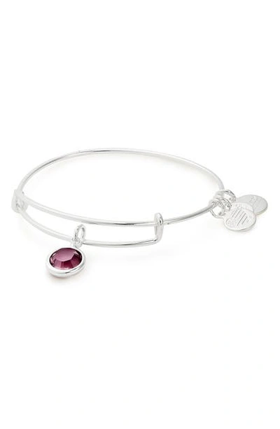Shop Alex And Ani Color Code Adjustable Wire Bangle In February - Amethyst/ Silver