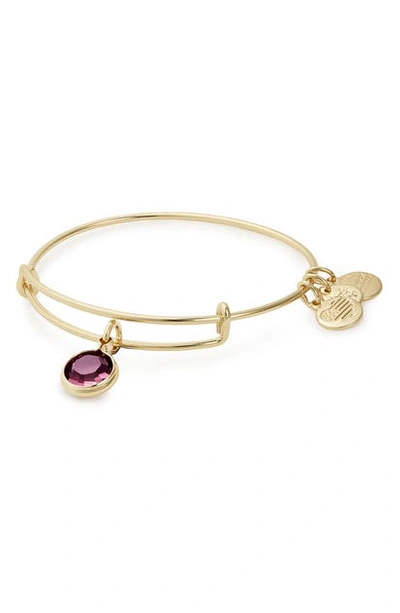 Shop Alex And Ani Color Code Adjustable Wire Bangle In February - Amethyst/ Gold