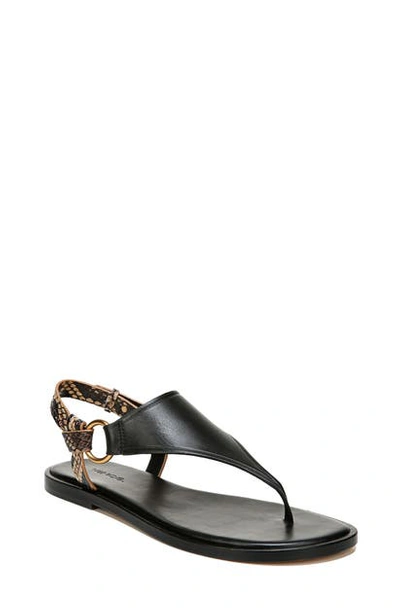 Shop Vince Pharis Sandal In Black/ Tan