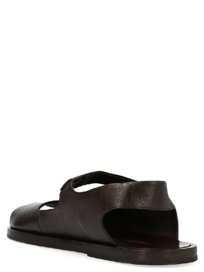 Shop Marsèll Sandello Sandals In Brown