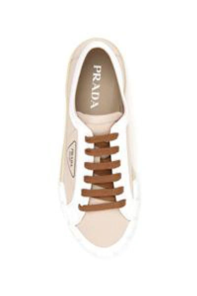 Shop Prada Logo Lace Up Sneakers In Multi