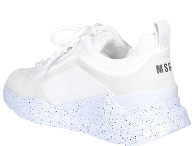 Shop Msgm Panelled Low In White