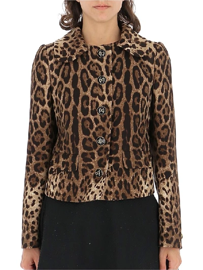 Shop Dolce & Gabbana Leopard Print Jacket In Multi