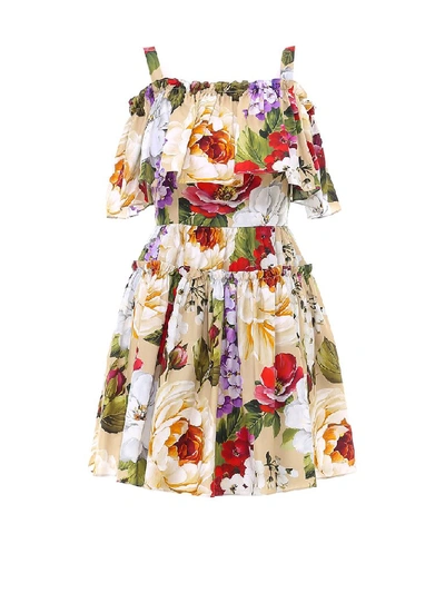 Shop Dolce & Gabbana Ruffled Floral Mini Dress In Multi