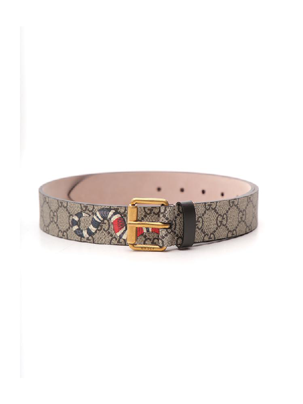 gucci supreme snake belt