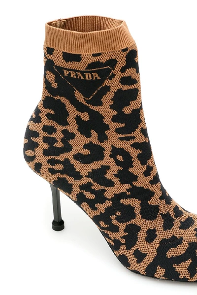 Shop Prada Animalier Print Sock Boots In Multi
