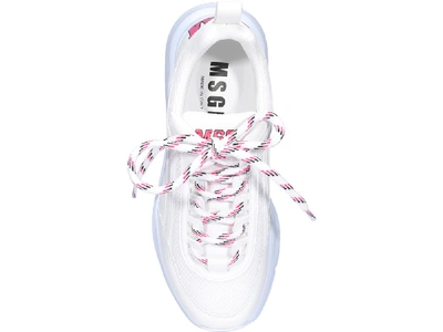 Shop Msgm Logo Detail Low-top Sneakers In White