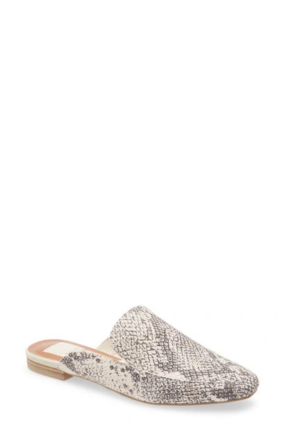 Shop Dolce Vita Halee Mule In Stone Snake Print