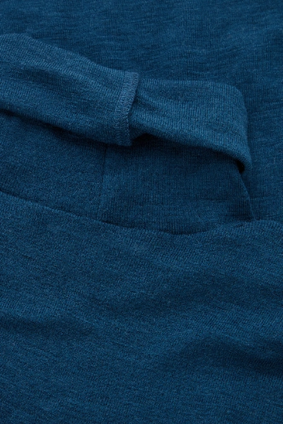 Shop Cos Fine Turtleneck Wool Top In Blue