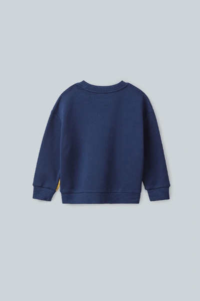 Shop Cos Printed Cotton Sweatshirt In Blue