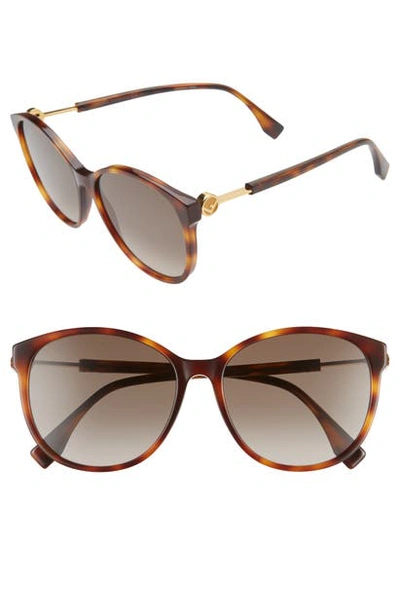 Shop Fendi 58mm Gradient Cat Eye Sunglasses In Dark Havana/ Brown