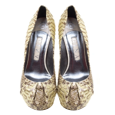 Pre-owned Gina Beige Python Hoodie Platform Pumps Size 38